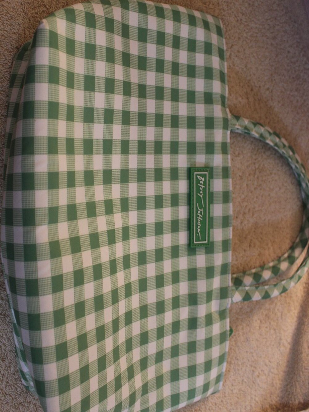 Betsey Johnson Green White Gingham Insulated Lunch Tote Bag SKUE